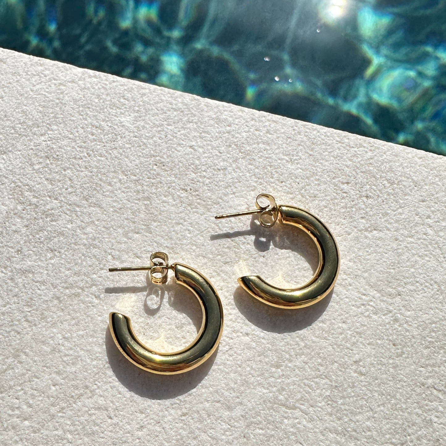 Erika Hoops