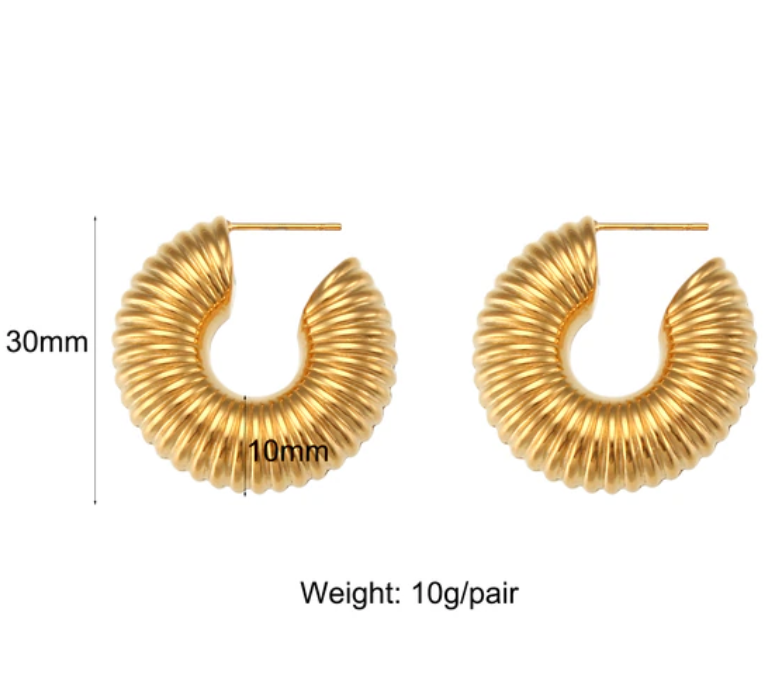Aryel Spiral Hoops